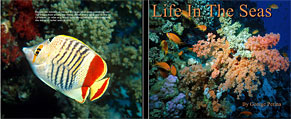 Life In The Seas Book