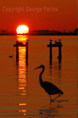 Gulf Coast Sundown