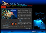 Visit Life In The Seas