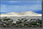 Mojave Dunes