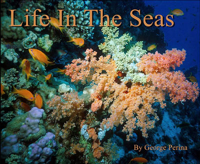 Life In The Seas Book Cover
